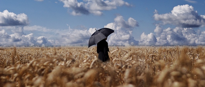Person with umbrella in a wheat field under clouds
