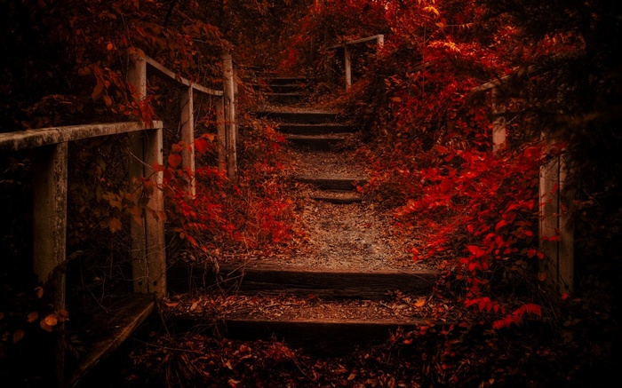 Wooden stairs covered in red fall leaves and shrubs