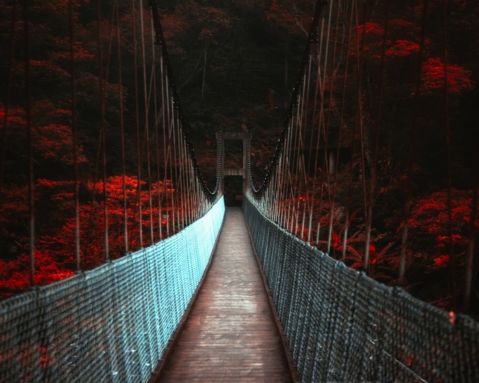 Suspension bridge over a forest with red foliage