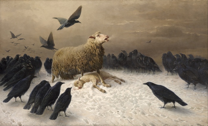 Albrecht Schenck's painting of sheep and crows in snow