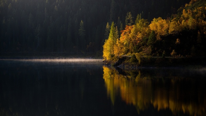 Autumn trees reflected in a misty lake