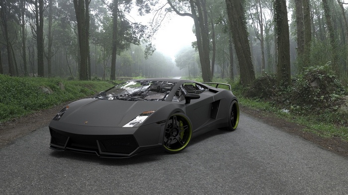 Matte black Lamborghini parked on a forest road