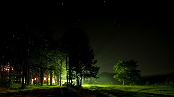 Night scene with trees and a field