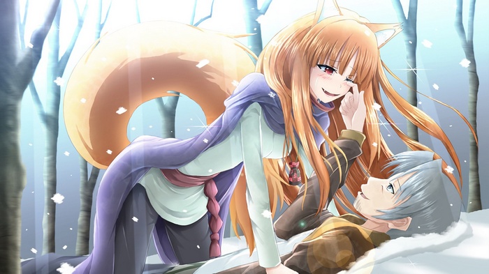 Okamimimi, Holo, anime girls, wolf girls, anime, Spice and Wolf