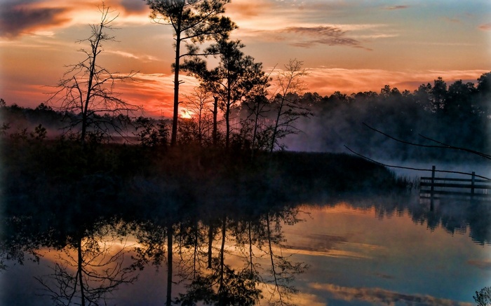 Misty swamp landscape at sunrise with reflections