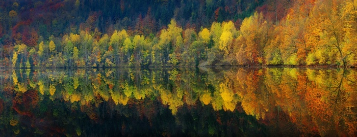 Colorful autumn forest reflected in a calm lake