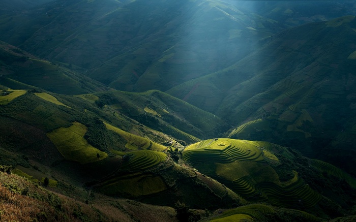 sun rays, mountains, valley, sunlight, Vietnam, terraces, landscape, green, rice paddy, nature