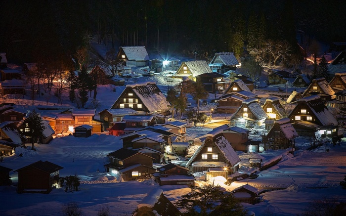 Shirakawa-go village at night in winter with snow