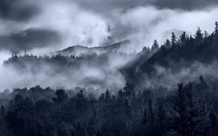 Misty mountains and forest with sun rays