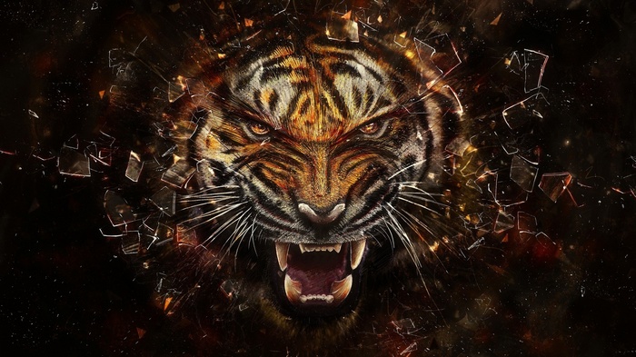 glass, artwork, teeth, animals, broken glass, face, tiger, digital art, shards