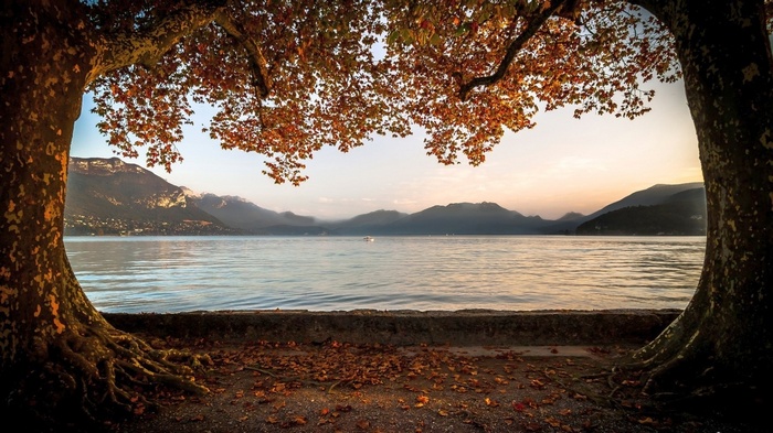 Autumn trees framing a serene lake and mountains