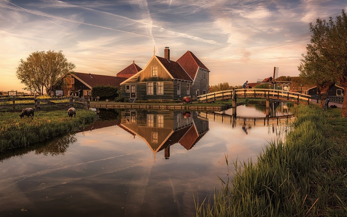 Zaanse Schans landscape with houses, canal, and windmill at sunset