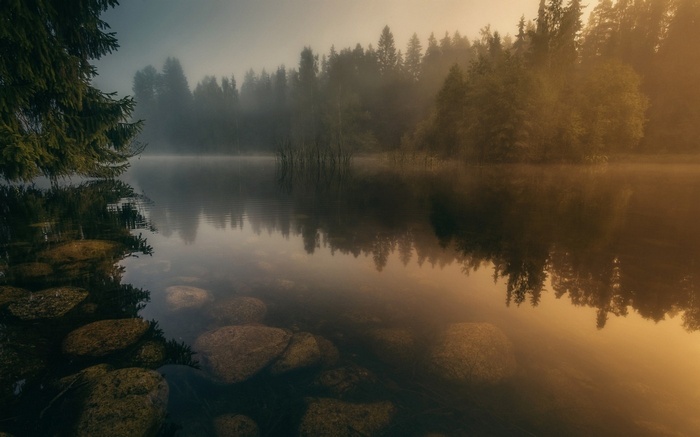 Misty lake with forest reflection and stones