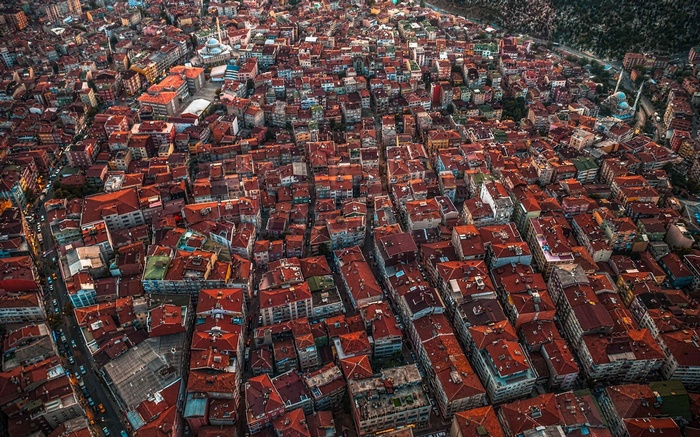 Aerial view of Istanbul, Turkey cityscape with mosques and buildings