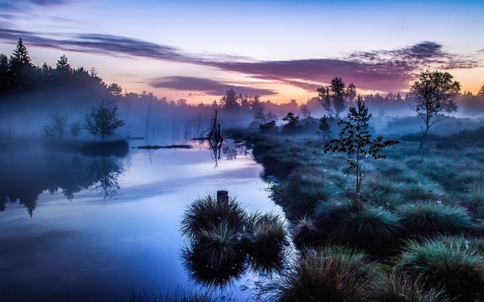 Misty morning landscape with a calm river in Germany