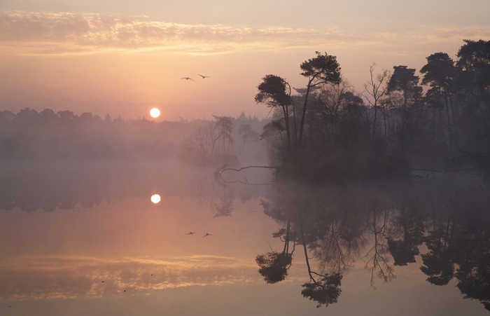 Sunrise over a misty lake with birds and reflections
