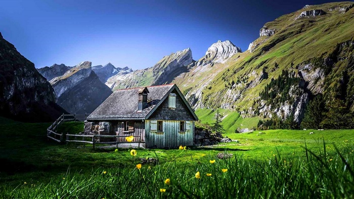 Cabin in the mountains with wildflowers and fence