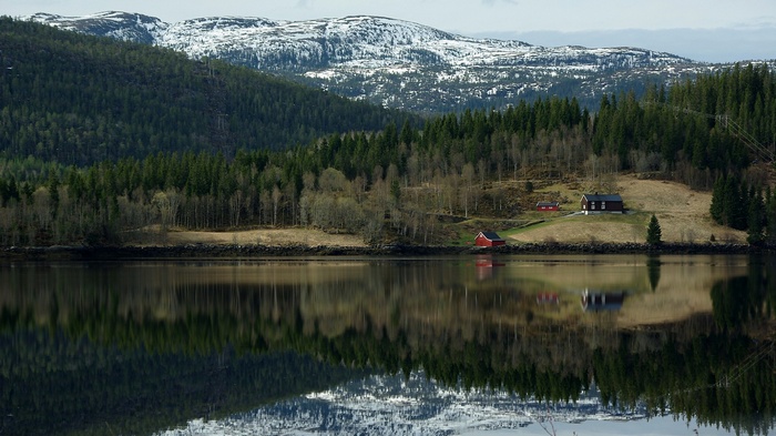 Houses by a lake with snow-capped mountains and forest