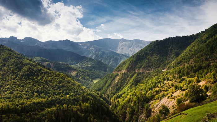 Green mountains and forest under a cloudy sky