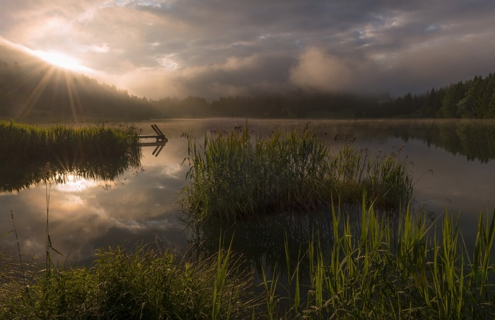 Misty lake with sun rays and reeds