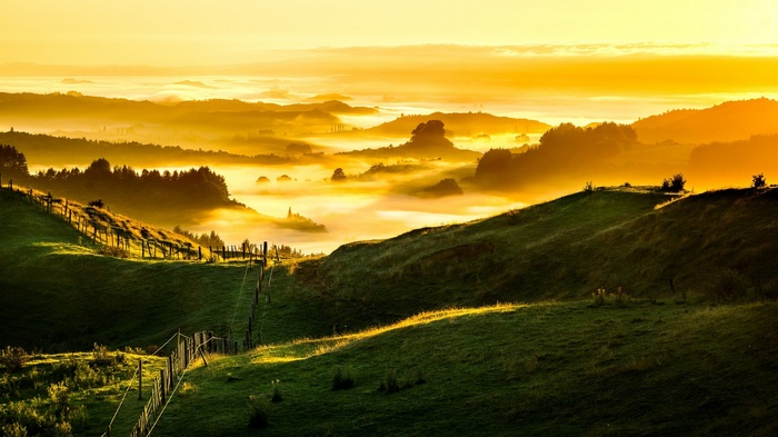 Misty New Zealand landscape with rolling hills at sunrise