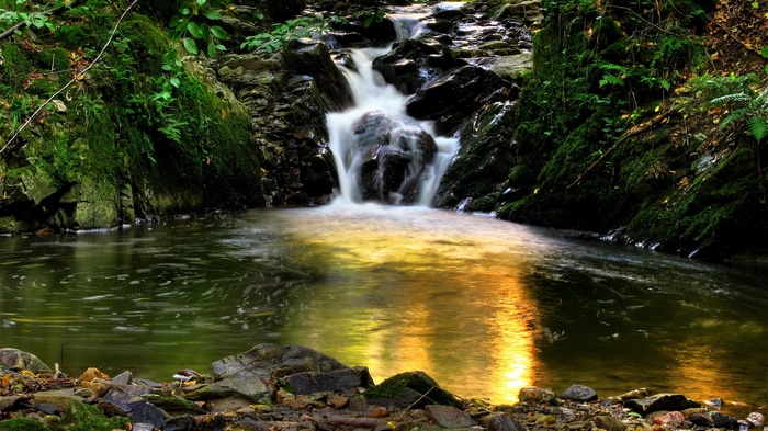 Waterfall cascading into a pool in a forest