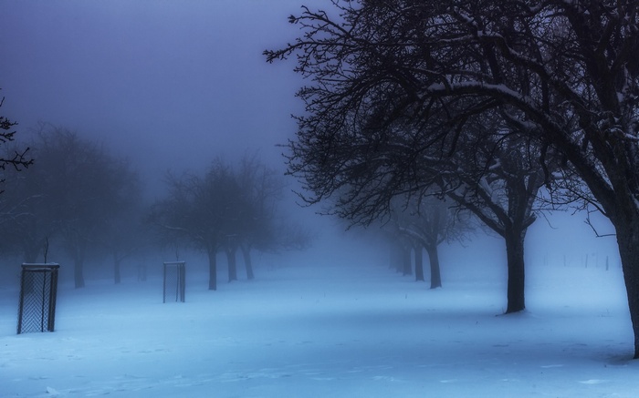 Misty winter morning in a snowy park in Germany