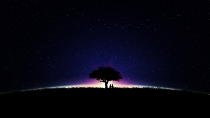Couple under a tree at night with stars
