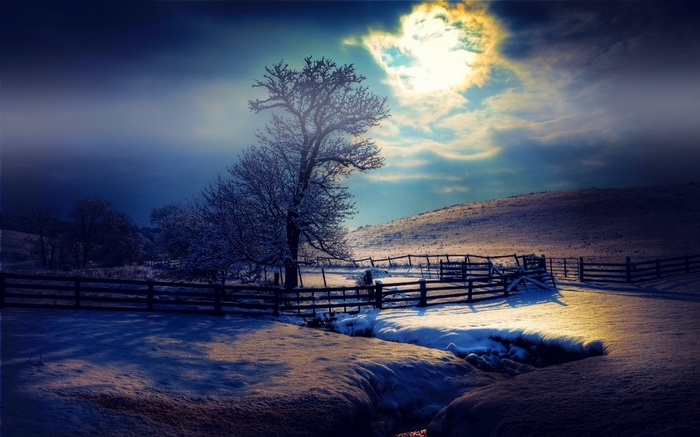 Winter landscape with snow-covered trees and a fence