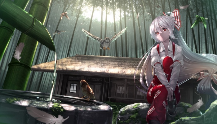 Fujiwara no Mokou in a bamboo forest with birds