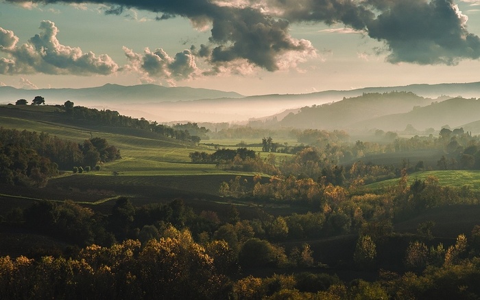 Misty Tuscan Hills with Rolling Green Fields and Trees