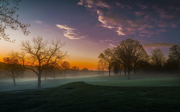 Misty golf course at sunrise with silhouetted trees
