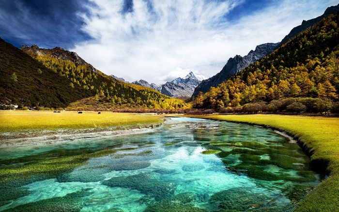 Turquoise River in a Mountain Valley during Fall