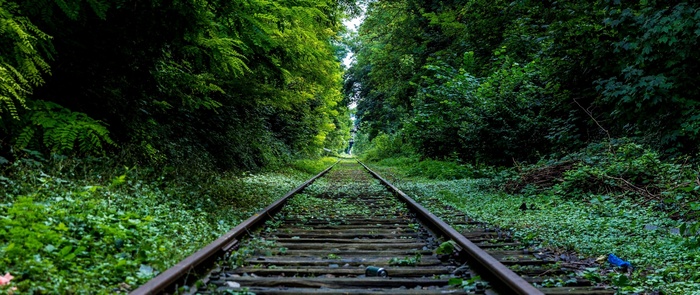 Abandoned railway tracks overgrown with greenery