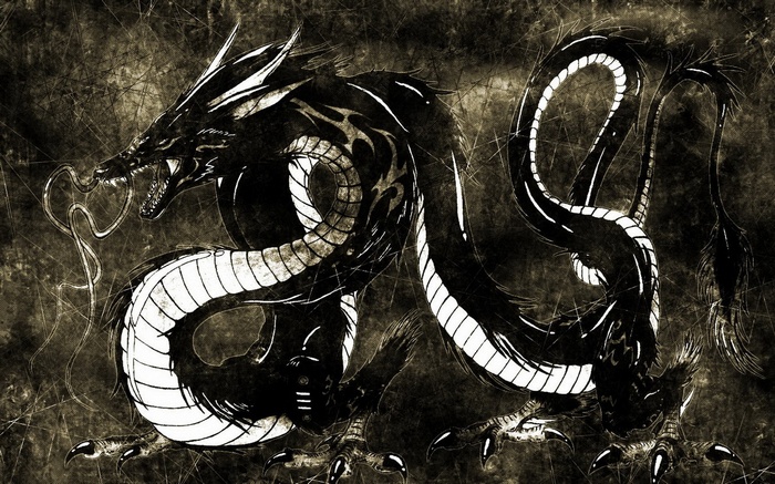 Black dragon with white markings on a textured background