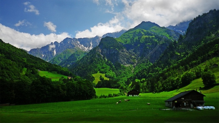 cabin, mountains, grass, Alps, nature, spring, cow, forest, clouds, green, landscape