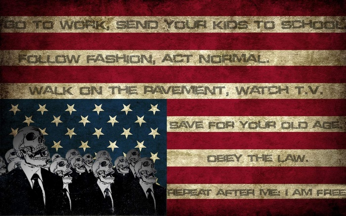 American flag with skulls and commands