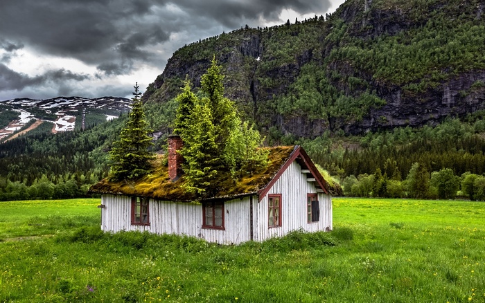 Abandoned house with mossy roof in Norway mountains