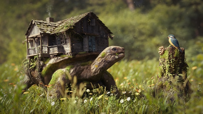 birds, nature, green, photography, digital art, grass, tree stump, artwork, house, butterfly, Photoshop, fantasy art, brown, log, flowers, moss, turtle, field, old, animals, depth of field, trees