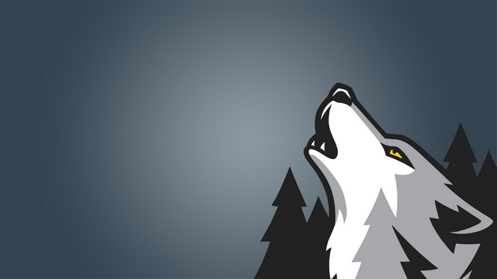 Wolf howling in front of pine trees