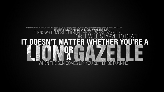 Motivational quote about lions and gazelles