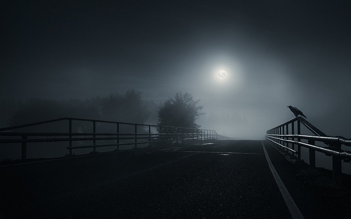 Crow on a bridge at night under the moon