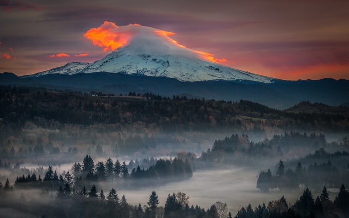 Mount Hood volcano at sunset with misty forest