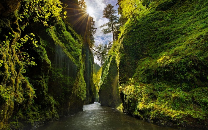 waterfall, moss, valley, Iceland, nature, shrubs, canyon, trees, river, green, sun rays, sunlight, Oregon, landscape