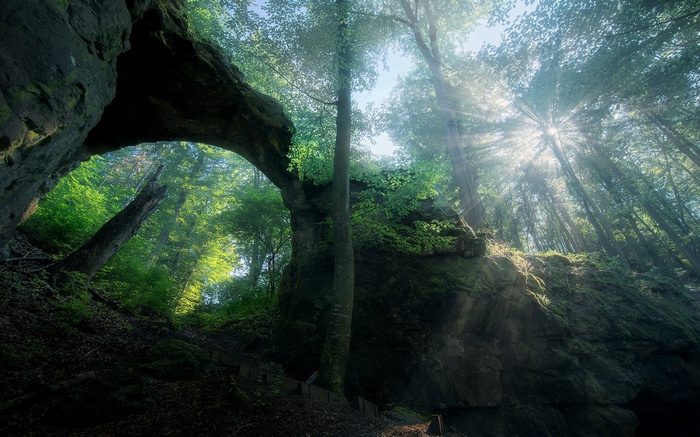 Sunlight streams through a forest archway