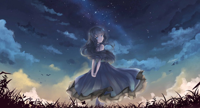Anime girl in a blue dress under a starry night sky