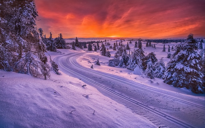 Winter sunset over snowy landscape in Norway