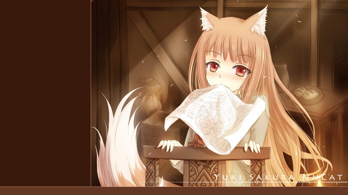 Holo from Spice and Wolf holding a scroll