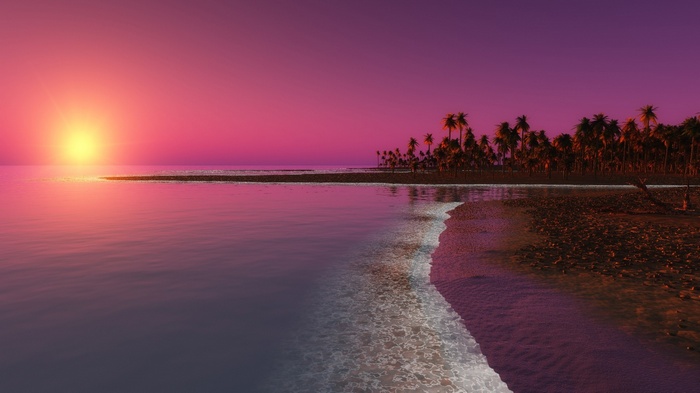 Sunset over a tropical beach with palm trees