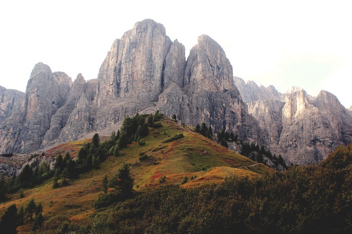 Mountain range with grassy hills and trees